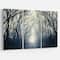 Designart - Dark Autumn Forest in Fog - Photography Canvas Art Print